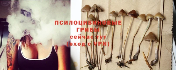 spice Лабытнанги