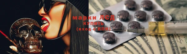 spice Лабытнанги