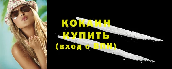 PSILOCYBIN Ладушкин