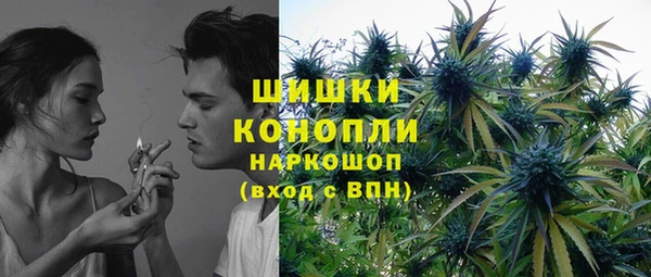 PSILOCYBIN Ладушкин