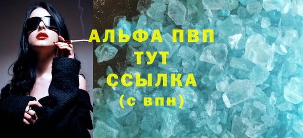 PSILOCYBIN Ладушкин