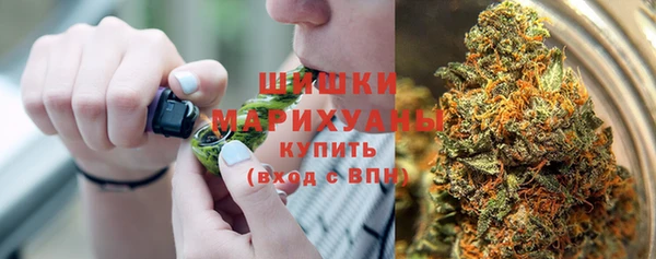 PSILOCYBIN Ладушкин