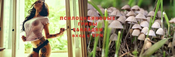 spice Лабытнанги
